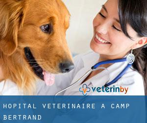 Hôpital vétérinaire à Camp Bertrand
