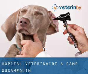 Hôpital vétérinaire à Camp Ousamequin
