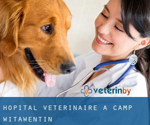 Hôpital vétérinaire à Camp Witawentin