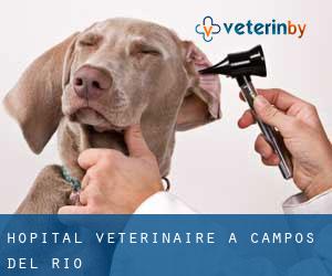Hôpital vétérinaire à Campos del Río