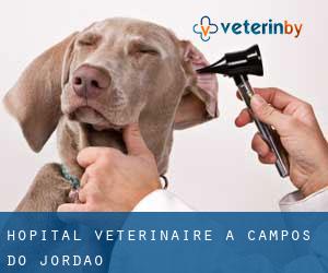 Hôpital vétérinaire à Campos do Jordão
