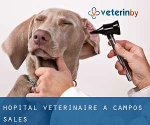 Hôpital vétérinaire à Campos Sales