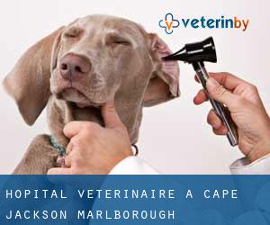 Hôpital vétérinaire à Cape Jackson (Marlborough)