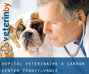 Hôpital vétérinaire à Carbon Center (Pennsylvanie)