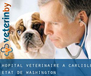 Hôpital vétérinaire à Carlisle (État de Washington)