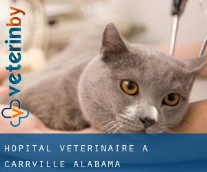 Hôpital vétérinaire à Carrville (Alabama)
