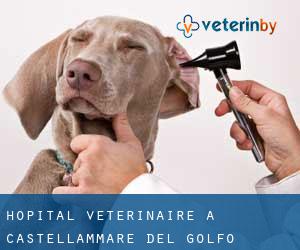 Hôpital vétérinaire à Castellammare del Golfo