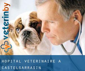 Hôpital vétérinaire à Castelsarrasin