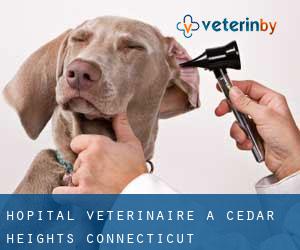 Hôpital vétérinaire à Cedar Heights (Connecticut)