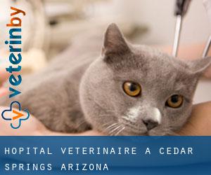 Hôpital vétérinaire à Cedar Springs (Arizona)
