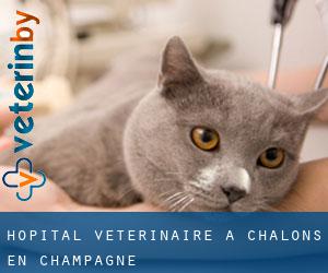 Hôpital vétérinaire à Châlons-en-Champagne