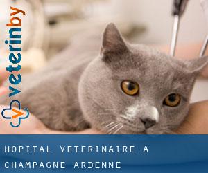 Hôpital vétérinaire à Champagne-Ardenne