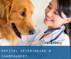 Hôpital vétérinaire à Champaubert
