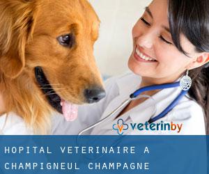 Hôpital vétérinaire à Champigneul-Champagne