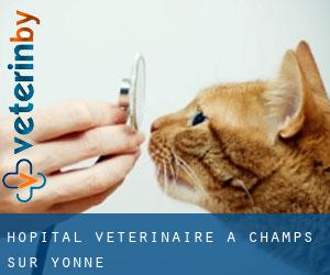 Hôpital vétérinaire à Champs-sur-Yonne