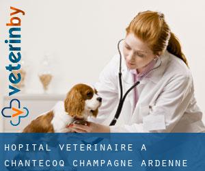 Hôpital vétérinaire à Chantecoq (Champagne-Ardenne)