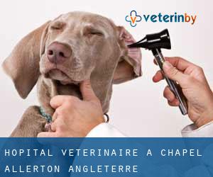Hôpital vétérinaire à Chapel Allerton (Angleterre)