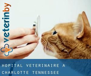 Hôpital vétérinaire à Charlotte (Tennessee)