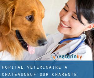Hôpital vétérinaire à Châteauneuf-sur-Charente