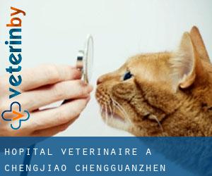 Hôpital vétérinaire à Chengjiao Chengguanzhen