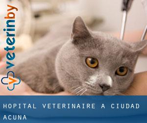 Hôpital vétérinaire à Ciudad Acuña