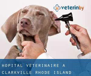 Hôpital vétérinaire à Clarkville (Rhode Island)
