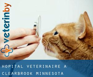 Hôpital vétérinaire à Clearbrook (Minnesota)