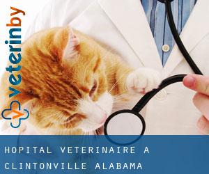 Hôpital vétérinaire à Clintonville (Alabama)