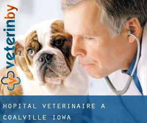 Hôpital vétérinaire à Coalville (Iowa)