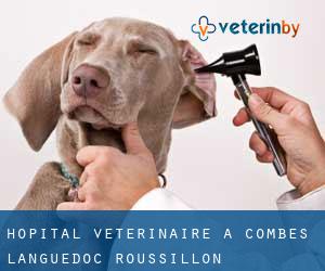 Hôpital vétérinaire à Combes (Languedoc-Roussillon)