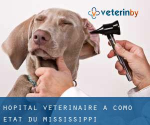 Hôpital vétérinaire à Como (État du Mississippi)