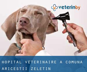 Hôpital vétérinaire à Comuna Ariceştii Zeletin