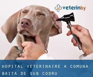 Hôpital vétérinaire à Comuna Băiţa de sub Codru