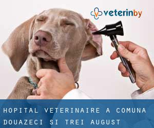 Hôpital vétérinaire à Comuna Douăzeci şi Trei August
