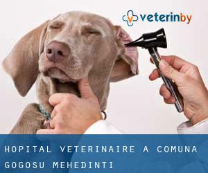 Hôpital vétérinaire à Comuna Gogoşu (Mehedinţi)