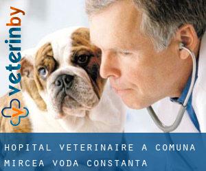 Hôpital vétérinaire à Comuna Mircea Vodă (Constanţa)