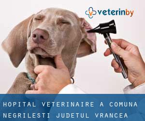 Hôpital vétérinaire à Comuna Negrileşti (Judeţul Vrancea)