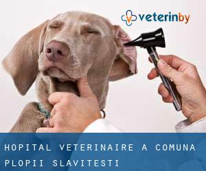 Hôpital vétérinaire à Comuna Plopii Slăviţeşti