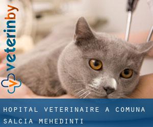 Hôpital vétérinaire à Comuna Salcia (Mehedinţi)