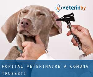Hôpital vétérinaire à Comuna Truşeşti