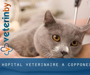 Hôpital vétérinaire à Copponex