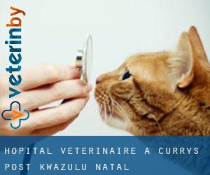 Hôpital vétérinaire à Curry's Post (KwaZulu-Natal)