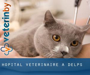 Hôpital vétérinaire à Delps