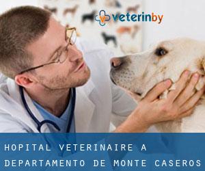 Hôpital vétérinaire à Departamento de Monte Caseros