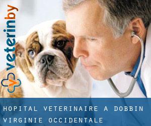 Hôpital vétérinaire à Dobbin (Virginie-Occidentale)