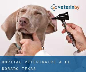 Hôpital vétérinaire à El Dorado (Texas)