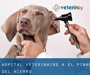 Hôpital vétérinaire à El Pinar d'El Hierro