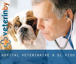 Hôpital vétérinaire à El Viso