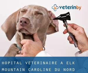 Hôpital vétérinaire à Elk Mountain (Caroline du Nord)