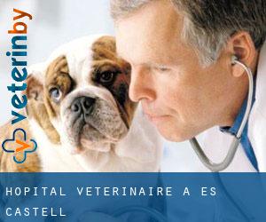 Hôpital vétérinaire à Es Castell